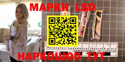 твердый Ставрополь