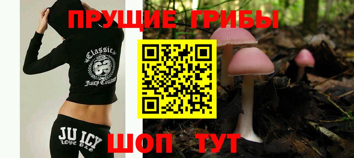 Галлюциногенные грибы Cubensis  Вход с VPN  купить   Отрадный 