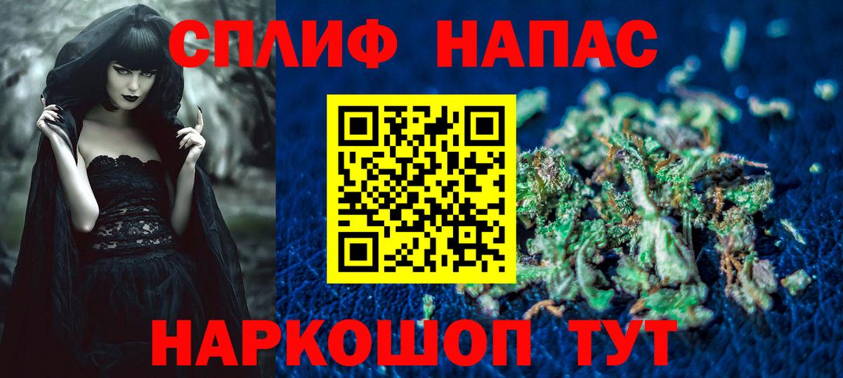 Канабис план Отрадный